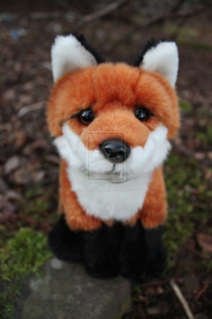webkinz fennec fox